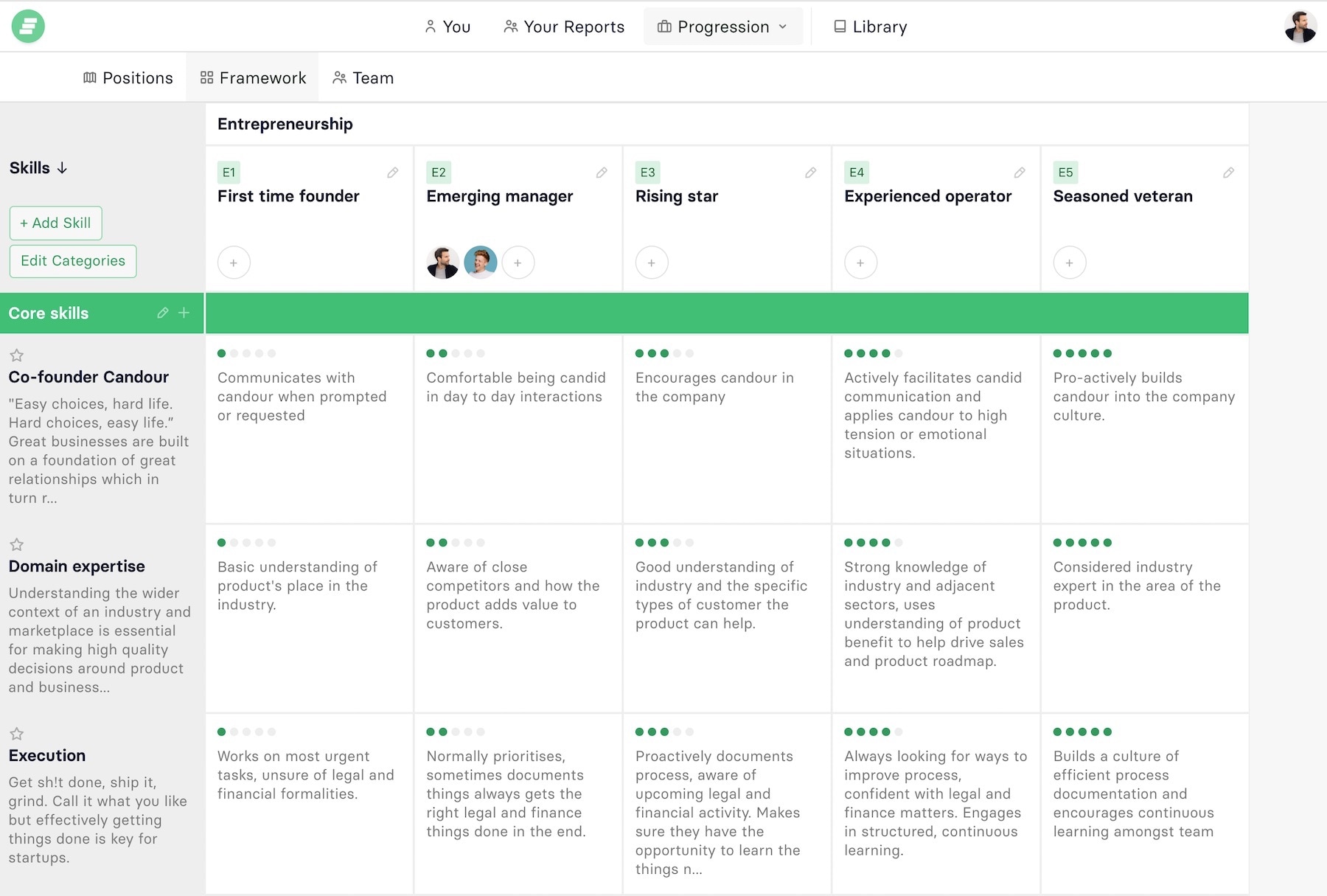 Co-founder skills framework in-situ